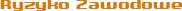 BHP ryzyko zawodowe Ryzyko zawodowe tekst